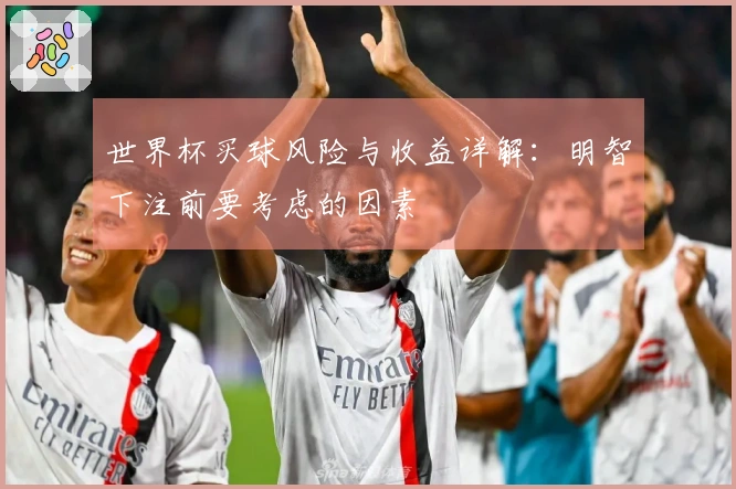 世界杯买球风险与收益详解：明智下注前要考虑的因素