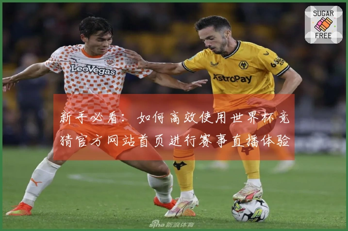 新手必看：如何高效使用世界杯竞猜官方网站首页进行赛事直播体验