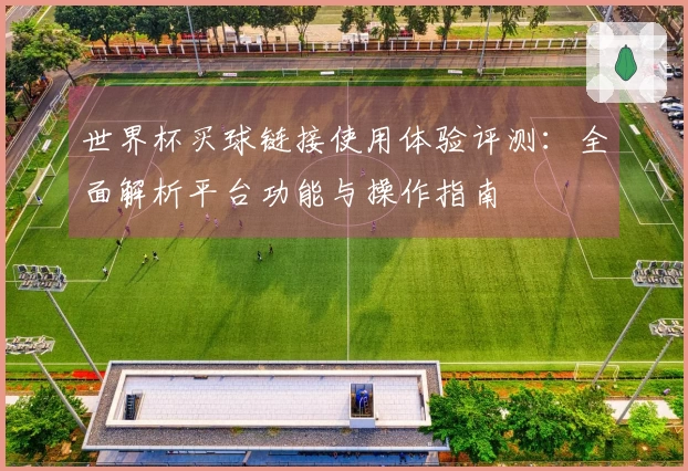 世界杯买球链接使用体验评测：全面解析平台功能与操作指南