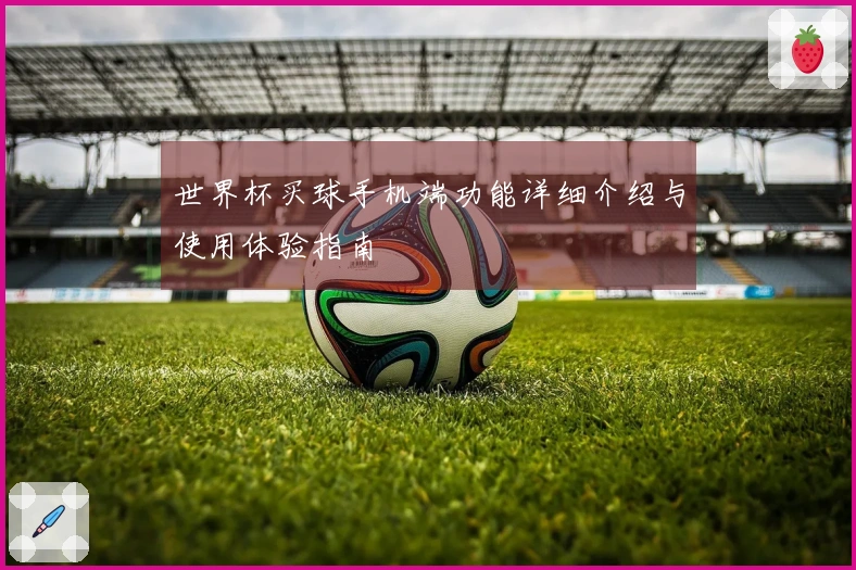 世界杯买球手机端功能详细介绍与使用体验指南