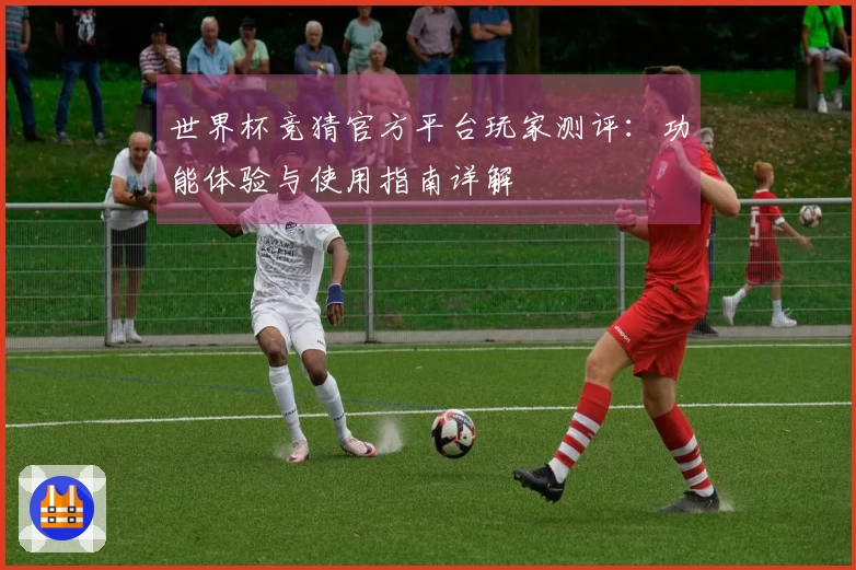 世界杯竞猜官方平台玩家测评：功能体验与使用指南详解