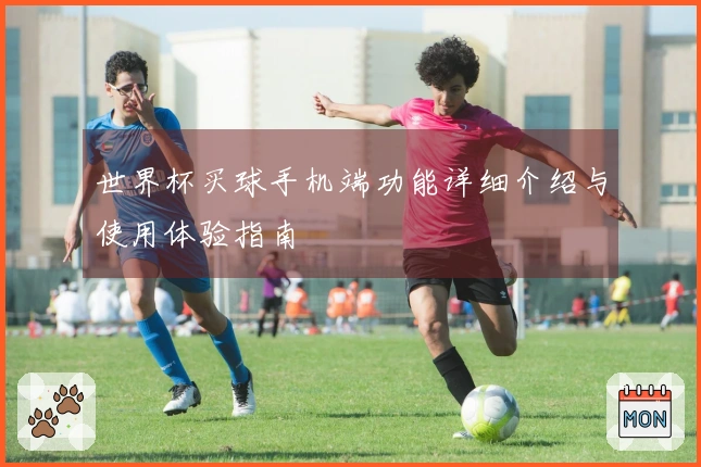 世界杯买球手机端功能详细介绍与使用体验指南