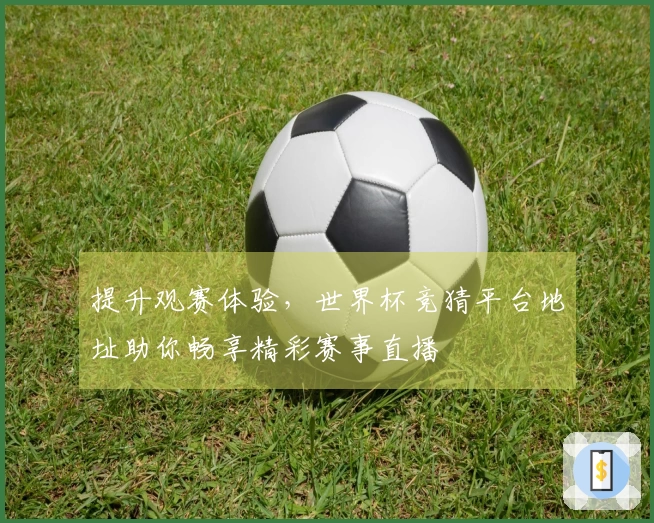 提升观赛体验，世界杯竞猜平台地址助你畅享精彩赛事直播