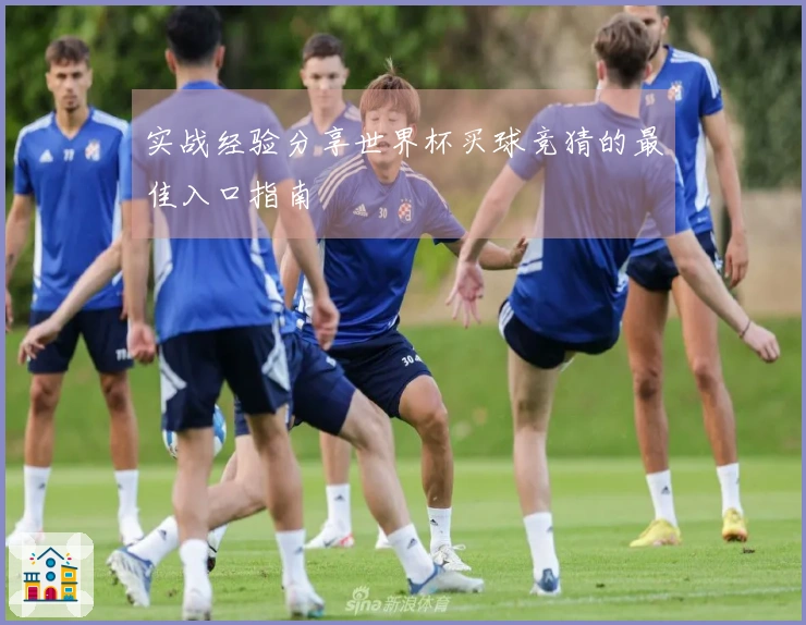 实战经验分享世界杯买球竞猜的最佳入口指南