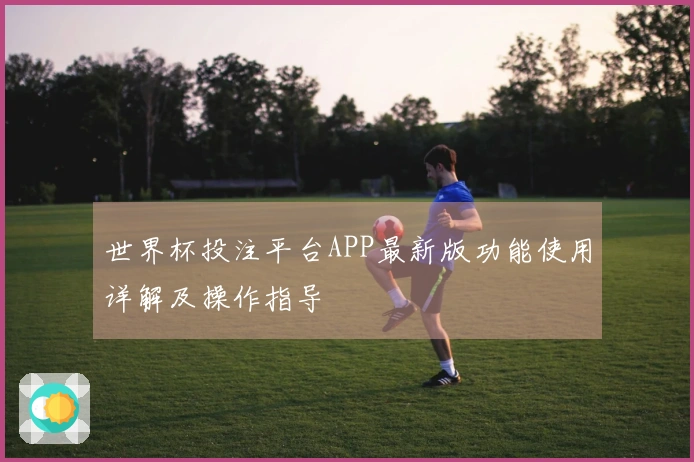 世界杯投注平台APP最新版功能使用详解及操作指导