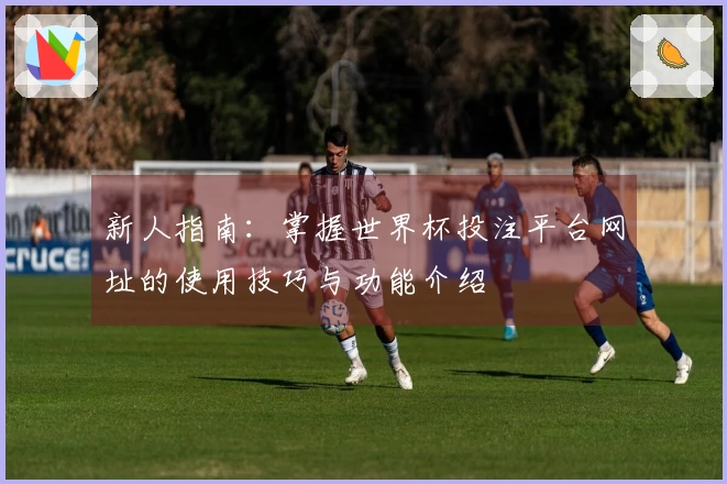 新人指南：掌握世界杯投注平台网址的使用技巧与功能介绍