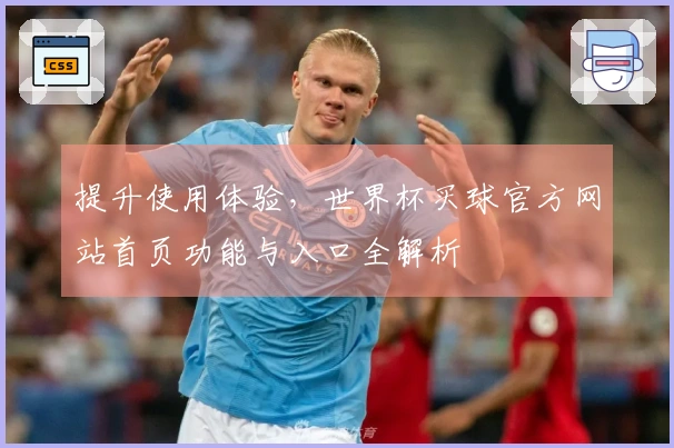 提升使用体验，世界杯买球官方网站首页功能与入口全解析