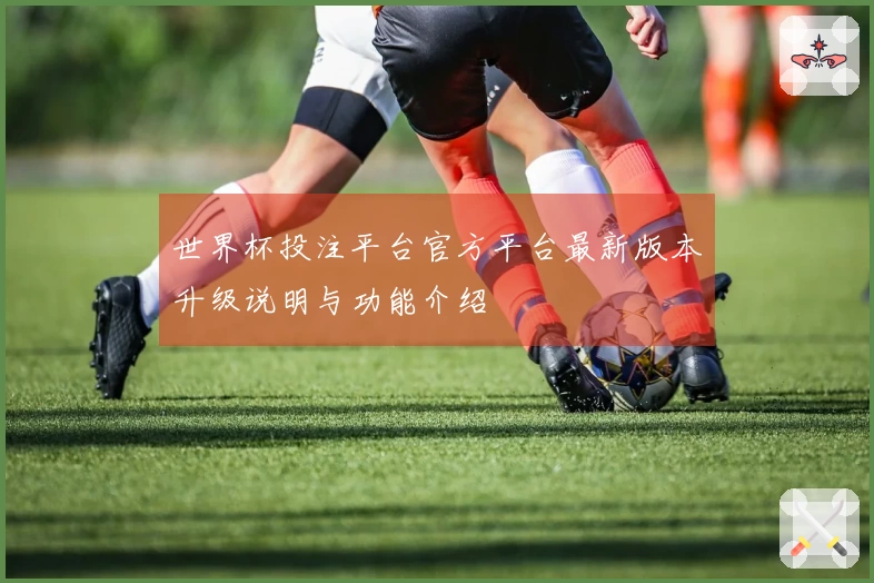 世界杯投注平台官方平台最新版本升级说明与功能介绍