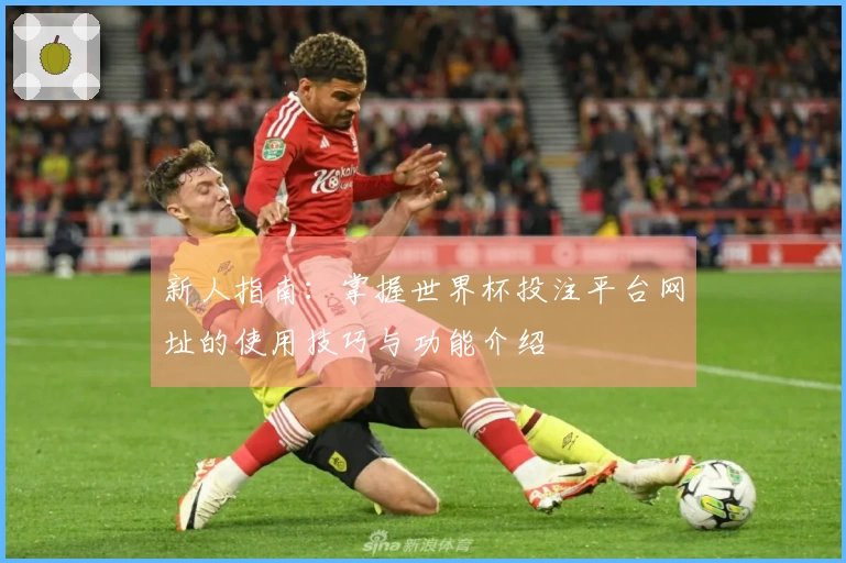 新人指南：掌握世界杯投注平台网址的使用技巧与功能介绍