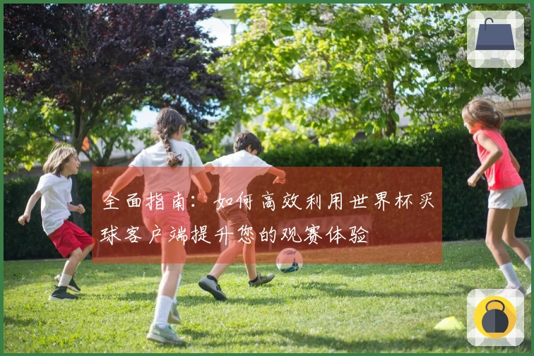 全面指南：如何高效利用世界杯买球客户端提升您的观赛体验