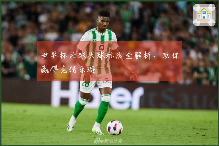 世界杯让球买球玩法全解析，助你赢得竞猜乐趣