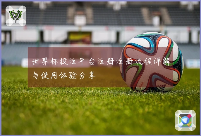 世界杯投注平台注册注册流程详解与使用体验分享